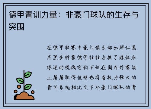 德甲青训力量：非豪门球队的生存与突围