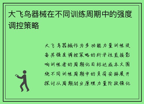大飞鸟器械在不同训练周期中的强度调控策略